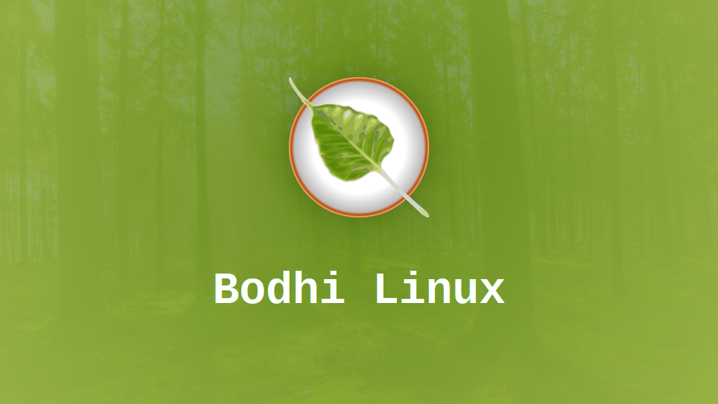 Bodhi Linux Banner
