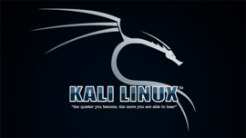 Banner for Kali Linux